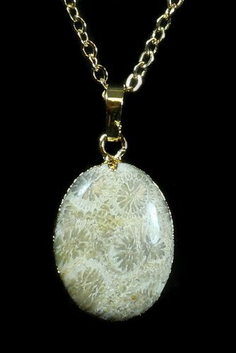 Million Year Old Fossil Coral Necklace #35775